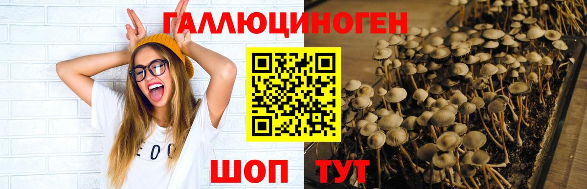 Псилоцибиновые грибы Psilocybine cubensis  Галлюциногенные грибы прущие грибы  что такое наркотик  Вход с VPN  Иваново 
