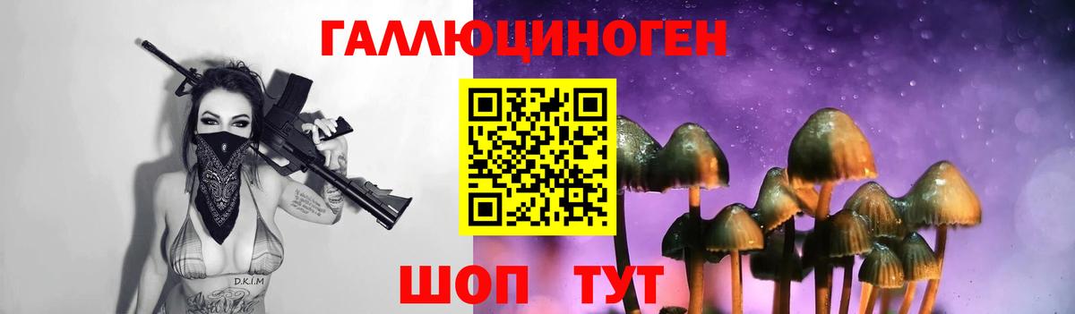 Псилоцибиновые грибы Cubensis Иваново